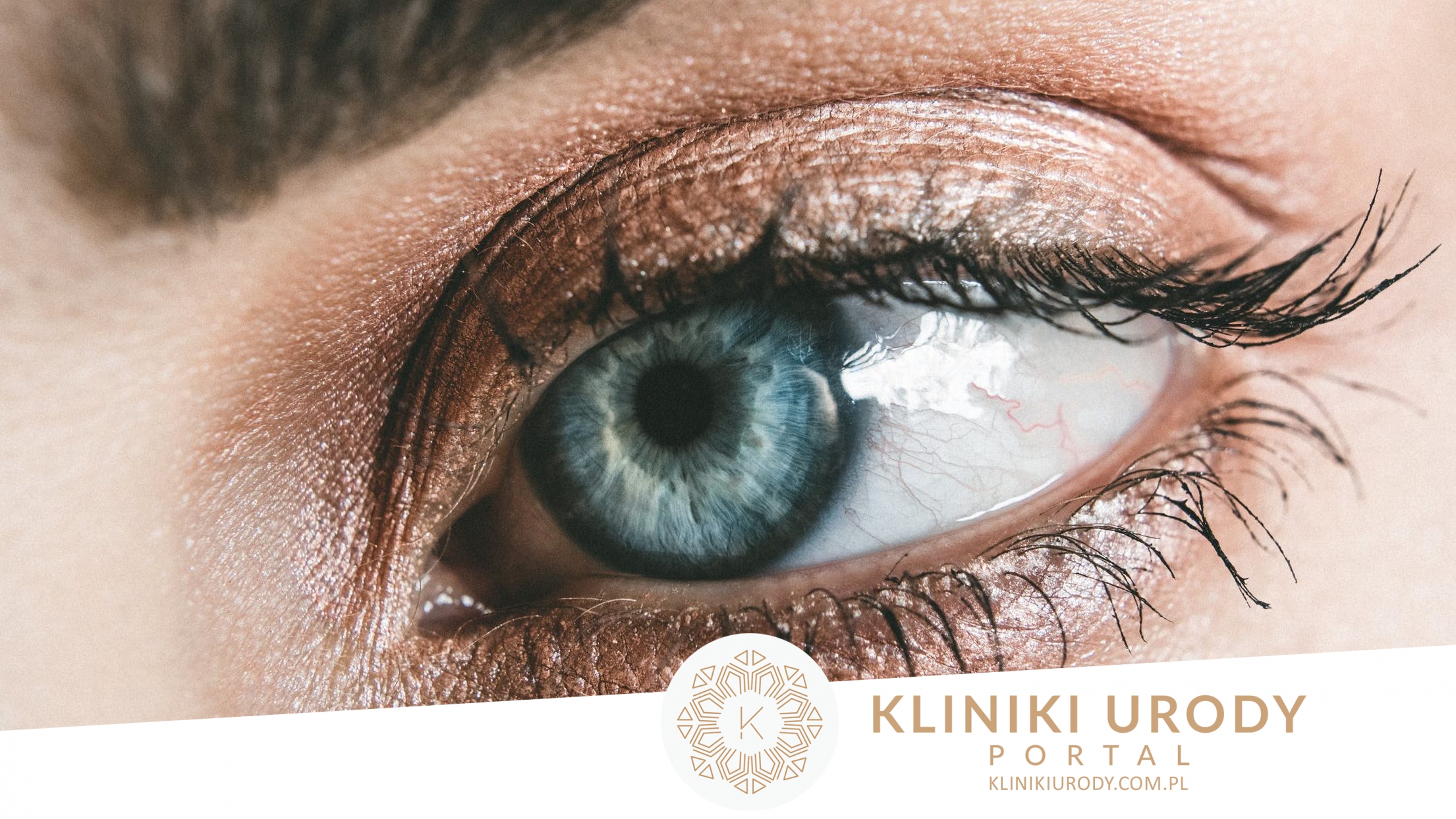 Oko i komórki macierzyste w terapii okulistycznej.